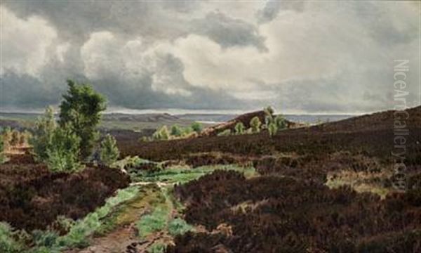 Landscape Near Silkeborg In Jutland - view 1