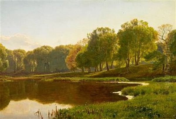 June Evening By The Himmelbjerg Lake - view 1