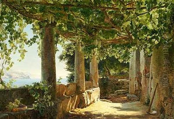 Parti Fra Vigne Pa Capri Med Udsigt Til Punta Della Campanella - view 1
