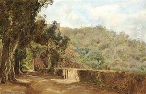 Parti Fra Villa D'este by Janus Andreas Bartholin La Cour
