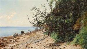 Strandparti. Arhusbugten