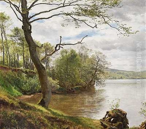 Skovso, Sommer, Antagelig Fra Egnen Omkring Himmelbjerget - view 1