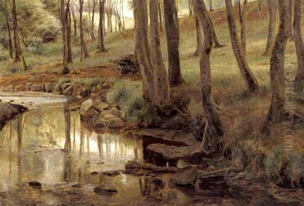 Aalob I Moesgaard Skov - view 1