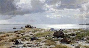 Strandparti Med Skyer Og Store Sten Strandparti Med Skyer Og Store Sten