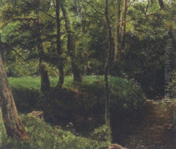 Moesgaard Aa - view 1