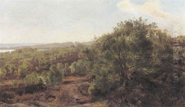 Fra Egnen Ved Silkeborgsoerne - view 1