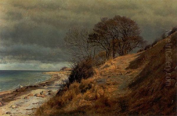 Tidlig Forarseftermiddag Ved Stranden - view 1