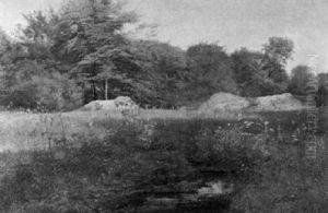 Wiesenlandschaft Mit Angrenzendem Wald