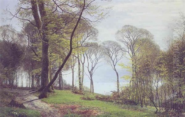 Forarsdag I Marselisborg Skov, Arhus - view 1