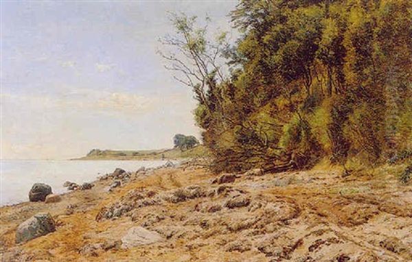 A Rocky Beach - view 1