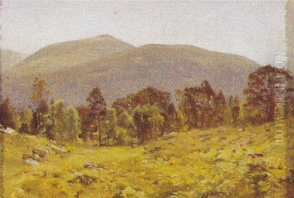 Bjerglandskab - view 1