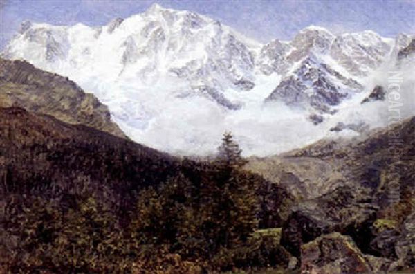 Schweizisk Landskab Med Sneklaedte Bjergtoppe I Baggrunden - view 1