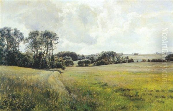Blomstrende Sommereng - view 1