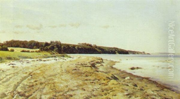 Strandparti Med Skraenter - view 1