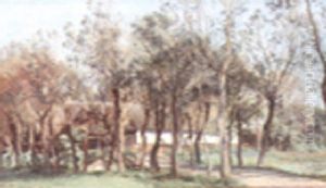 Farm Landscape