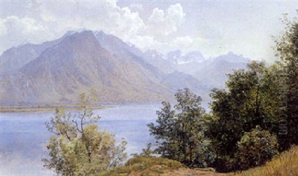 Parti Fra Veytaux - view 1