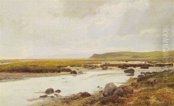 Kystparti Med Mols Bjerge I Baggrunden - view 1