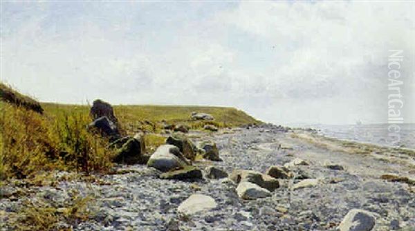 Strandparti Med Store Sten I Vandkanten - view 1