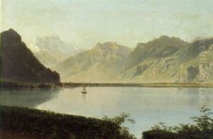 Sommerdag Ved En Schweizisk Bjergso