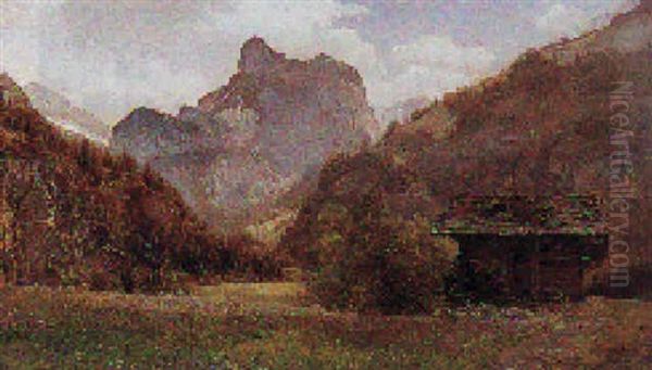 Bjerglandskab Med Traehus - view 1