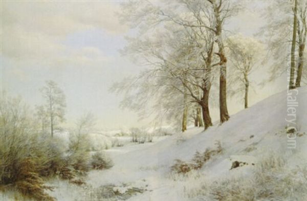 Winter Near Copenhagen - view 1
