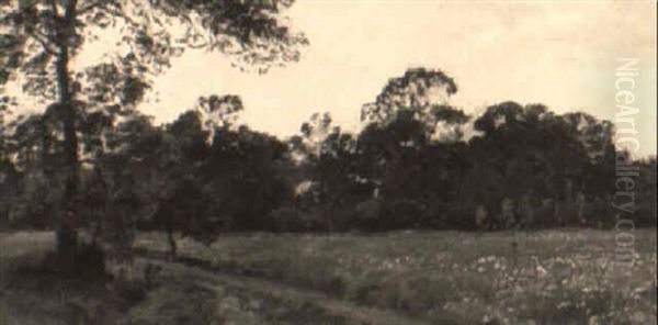Skogsgl,nta, I F"rgrunden Blommande ,ng - view 1