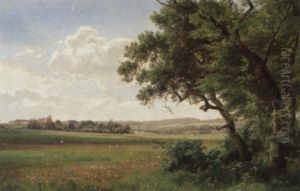 Dansk Sommerlandskab Med Gaende Storke Og Vilde For+rsblomster