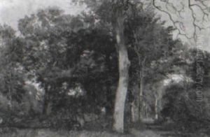 Skovparti Sommer by Janus Andreas Bartholin La Cour
