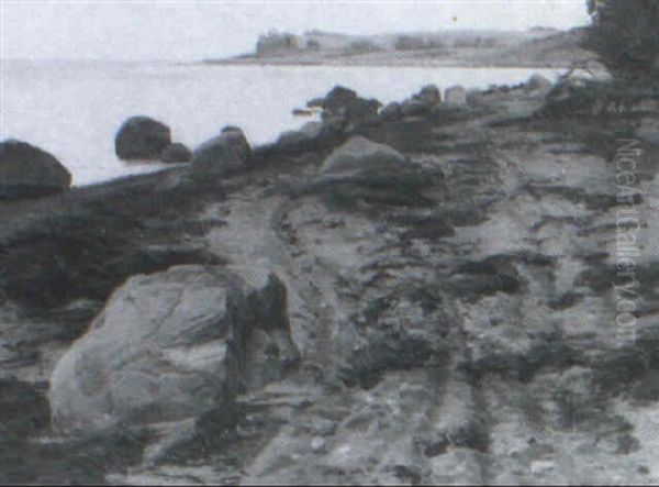 Kystparti Med Klippestykker - view 1