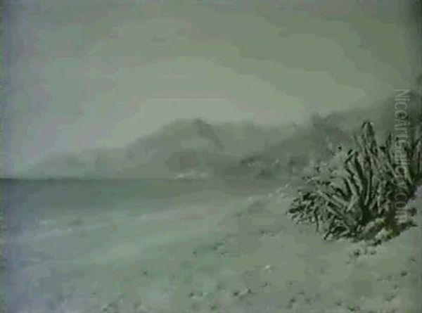 Kystparti, Bordighera - view 1