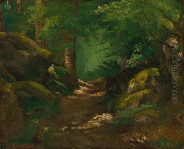 A Forest Glade - view 1