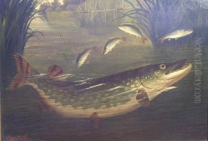 A Jack In The Roach Swim by Roland Anheisser