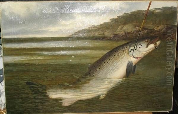 Salmon Fishing - The Gaff - view 1