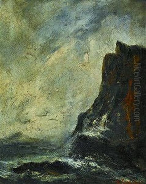 Sturmische Felsenkuste - view 1