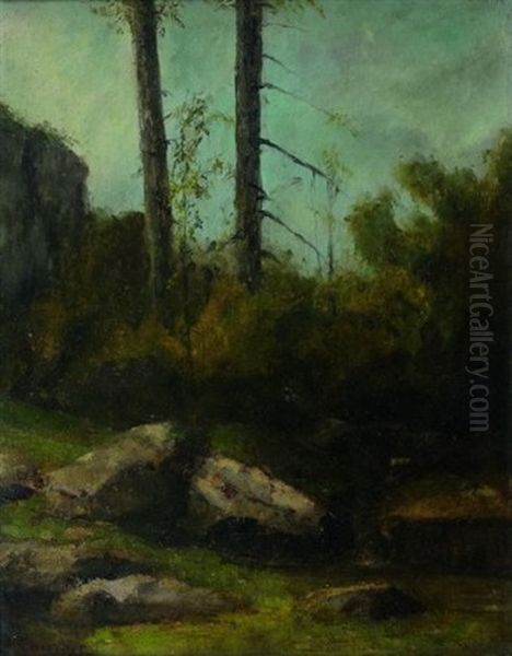 Paysage De Sous Bois Presume A La Garenne De Bussac En Saintonge - view 1