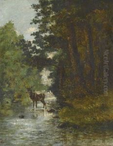 Waldpartie Mit Hirsch An Einem Bachufer