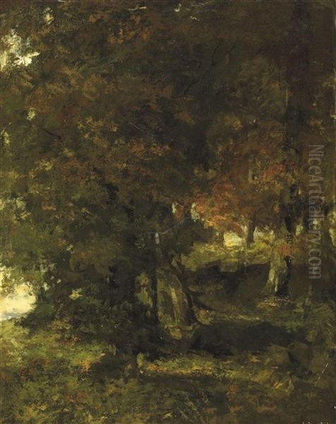 Sous-bois A Port Berteau - view 1