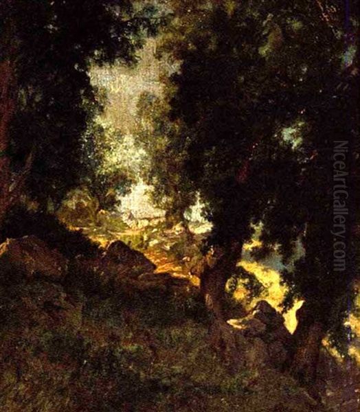 Paysage Boise - view 1