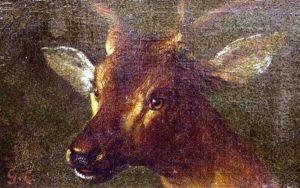 Tete De Biche