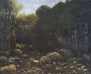 Sous Bois Avec Une Riviere