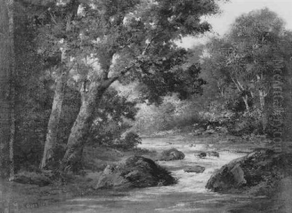 Somerlicher Laubwald Mit Bachlauf - view 1