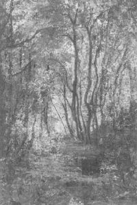 Waldinneres
