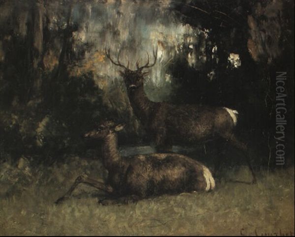 Cerf Et Biche Sous Bois - view 1