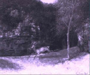 Cerf Courant Sous Bois