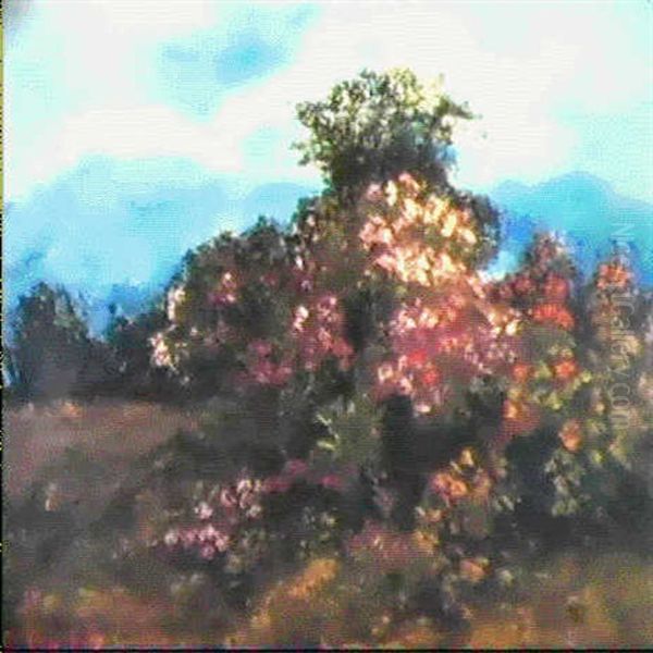 Paysage Avec Massif Fleuri - view 1