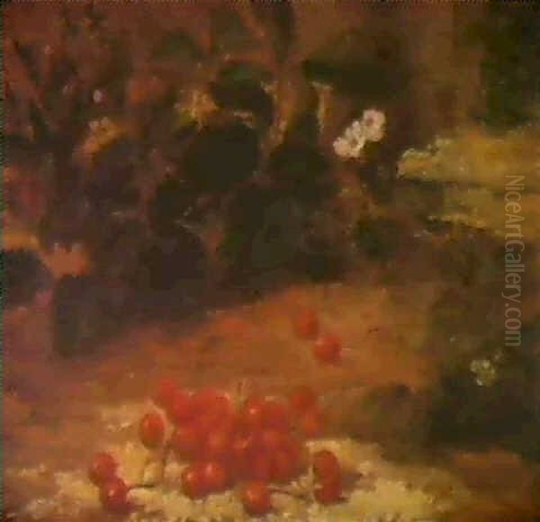 Stilleben Mit Kirschen - view 1