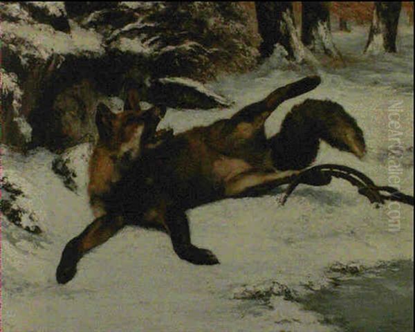 Renard Dans La Neige Pris Au Piege - view 1
