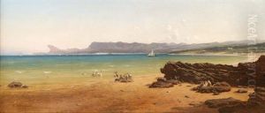 Bec De L'aigle A La Ciotat