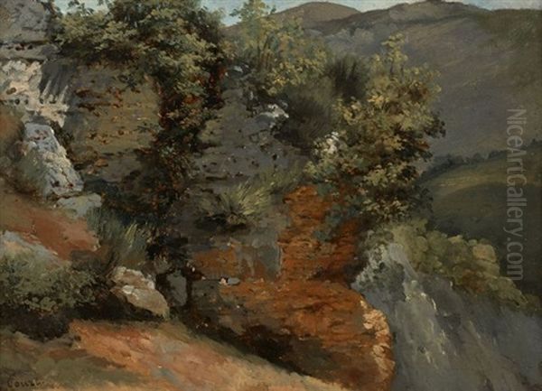Etude De Vegetation Dans Un Paysage Rocheux - view 1