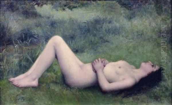 Femme Nue Allongee Dans L'herbe - view 1